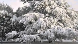 Fermo Marche nevicata 2012