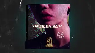 sozinho no s&oacute;t&atilde;o - Vento na Cara (Terno Rei Cover)