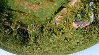 quad 6 inch freestyle xnova 2206 2000kv