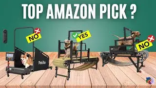 TOP 5 Best Dog Treadmills 2025🔥