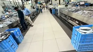United Arab Emirates. Large fish market. We bought a shark and a Seri. What kind of fish do they ...