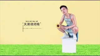 Shawn Tok - 天黑请闭眼 (Audio)