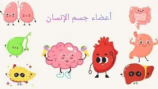 أهم المفردات باللغة التركية للمبتدئين (6)🇹🇷