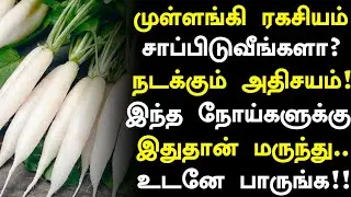 முள்ளங்கி சாப்பிட்டால் நடக்கும் அதிசயம்! | Radish Health Benefits in Tamil| Health Tips Tamil 