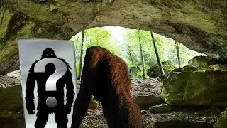What Is A Cryptid?
