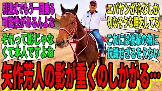 【競馬の反応集】「エクリプス賞を受賞したエバヤンに」に対する視聴者の反応集