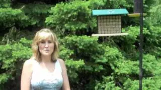 Кормушка Birds Choice Suet Block &ndash; для диких птиц