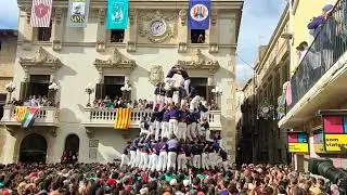 Torre de nou amb folre i manilles descarregada a Vilafranca del Penedès. 1-11-2023