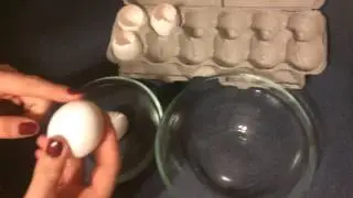 Eggshell Planter: Part 1 - Cracking the Egg