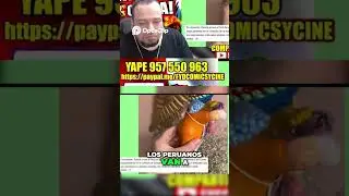 Per&uacute; Acusado de Robar Tradiciones Bolivianas  &iexcl;El Debate!