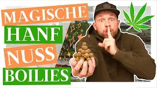 Boilies Zum Selber Machen - Magische Hanf Nuss Boilies Selber Rollen!