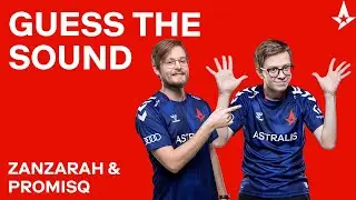 Zanzarah & promisq plays Guess the Sound!