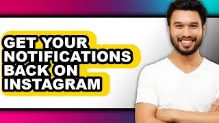 How to Get Your Notifications Back on Instagram - Full Guide