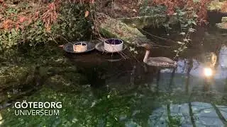 UNIVERSEUM - G&ouml;teborg