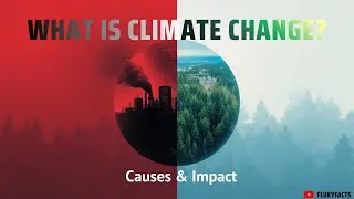 What is Climate Change? Causes & Impacts|FlukyFacts