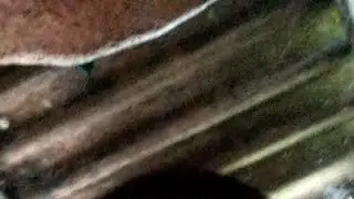 3dcomedy video short long