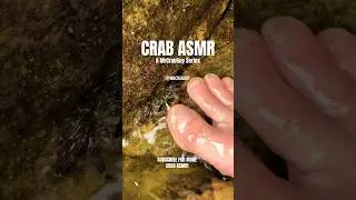 ASMR Mouth Sounds for Sleep No Talking #shorts