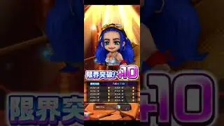 【白猫】【ガチャ動画】クリスマス2025編その3　追いガチャ22連+α