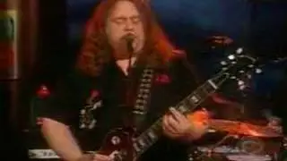 Gov't Mule - Soulshine