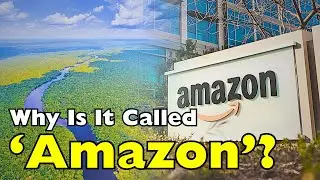 Почему Amazon называется Amazon? Скрытый смысл названия
