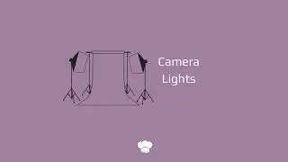 Milky Chance x MGMT Type Beat | Camera Lights (Prod. Saucier)