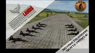 T.O.G.G. - Shadowlands - DCS - ADVANCED RADAR SKATE - #dcs #shadowlands #flightsimulator