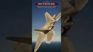 High G Barrel Roll #shorts #military #documentary #modernwarfare #warthunder #tactic #fyp #fypシ