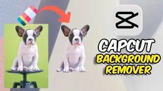Background Remover Tutorial for Video & Photo | Capcut Auto Cutout