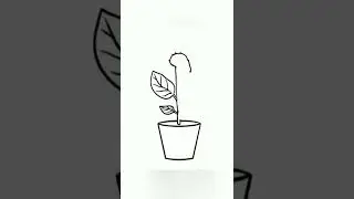 Basil plant drawing 24 July 2022