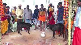 Ellamma Thalli Mathekolupu | Yellamma Panduga Part 08 | Ellamma Mathekolupu | Telangana Tradition