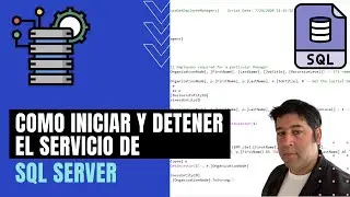 Cómo iniciar y detener el servicio de SQL Server - Guia de SQL Server en Español