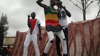 DOU THE KING