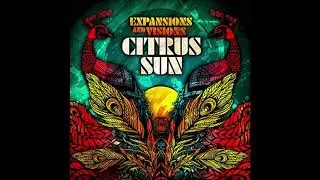 Citrus Sun - Back To Wonderland