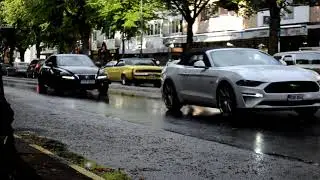 Tran&aring;s cruising 2021