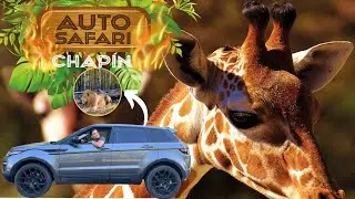 Visitando Un Safari 🦒 Por Primera vez en Guatemala😳🇬🇹