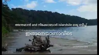 അന്ധം വിട്ടുപോയ കാഴ്ച!!!!||andaman and nikobar islandile ഒരു ബീച്ചിൽ