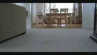 HD Test