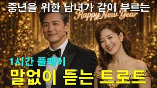 [Playlist] 말없이 틀어놓기 좋은 남녀 듀엣 트로트｜중년의 하루를 위한 10곡 1시간 플레이리스트