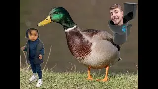 Песня уток