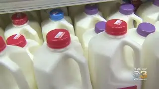 Researchers: Milk Better Than Water For Hydration