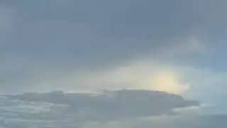 The cloud looks like alligator 