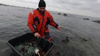 Hiiumaa lestapüük 2020