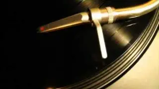 The Shanes feat. Katrin Achinger - Love Will Tear Us Apart .wmv