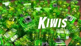 Is Lubing Worth? - c3 Equalz Kiwis
