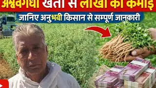 अश्वगंधा खेती से लाखों की कमाई | अनुभवी किसान से संपूर्ण जानकारी | Ashwagandha Farming