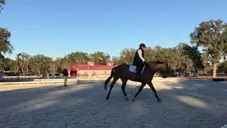 Dressage Lesson with James Burtwell 1.15.2018