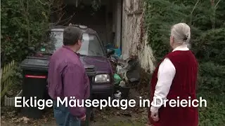 Wird die Stadt Rentnerin Christa endlich helfen?