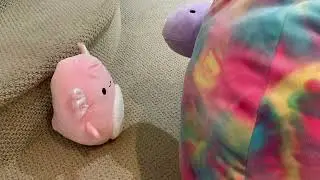The Squishy Squad