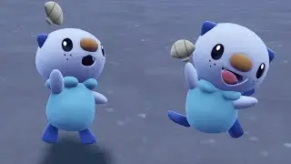 aw it's an oshawott... OH SH--