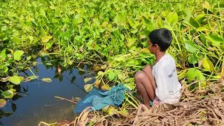 Hook Fishing - Traditional Hook Fishing - MR Fishing Life (Part-382)
